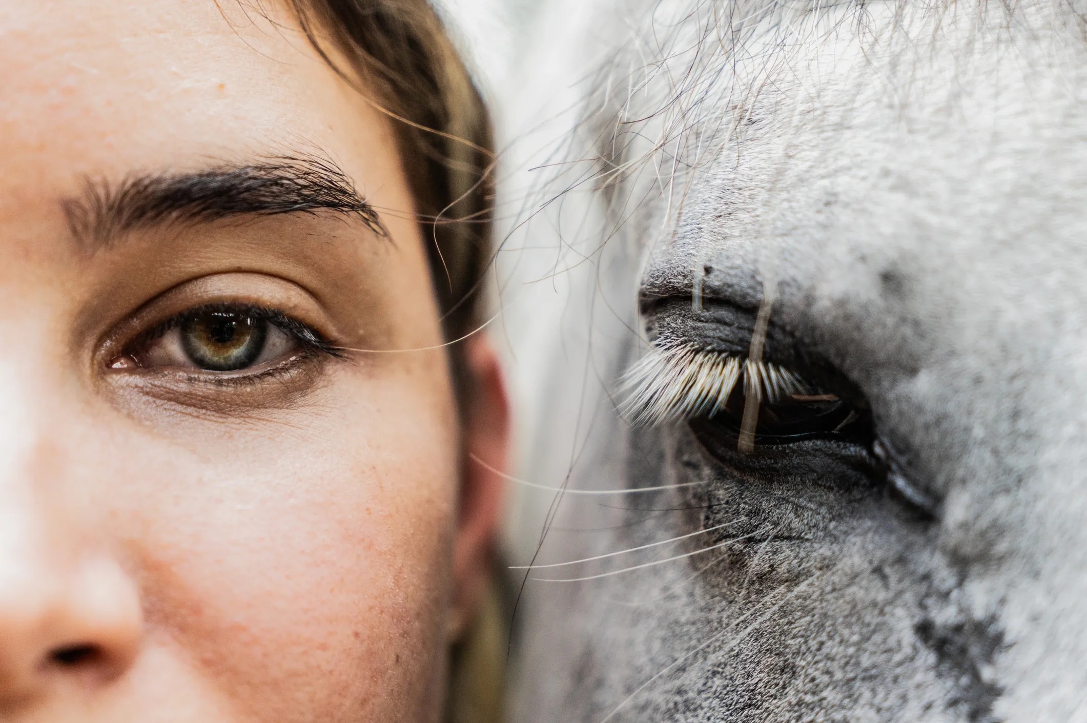 Equine-Assisted Coaching